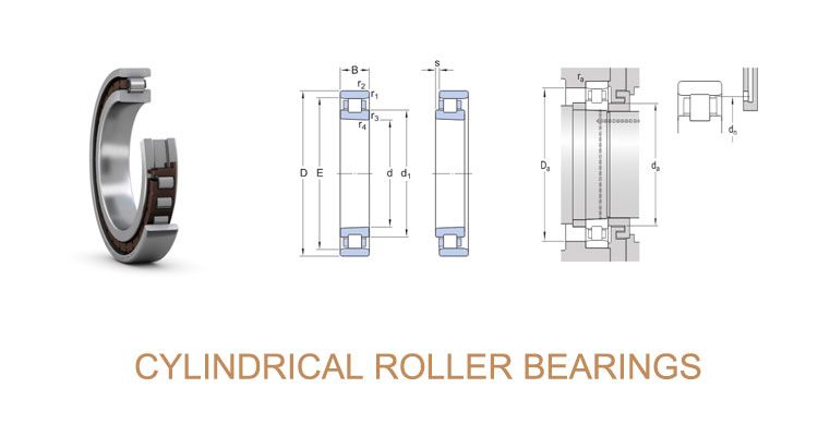 Cylindrical Roller Bearings NJ24